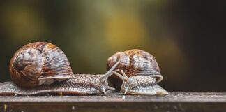 Co to jest czujnik poziomowania świateł?