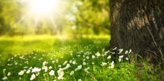 Jakie światło do łazienki bez okna? Jakie światło do łazienki bez okna?