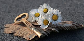 Co opłaca się otworzyć w małym mieście?