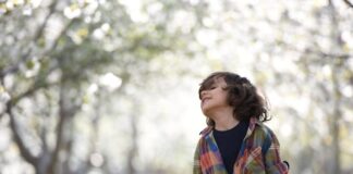 Co może kolekcjonować dziecko