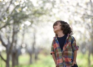 Co może kolekcjonować dziecko